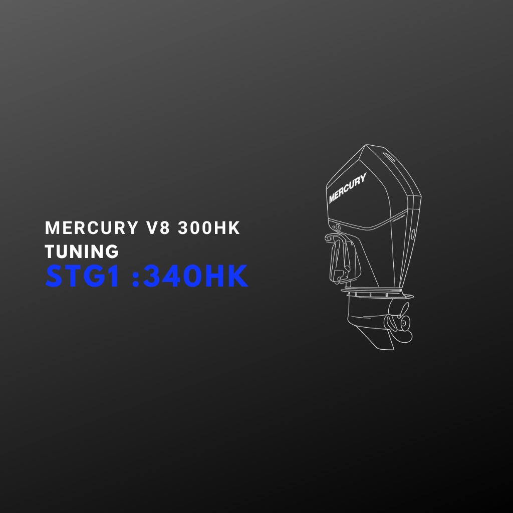 Mercury V8 4.6L 300HK tuning