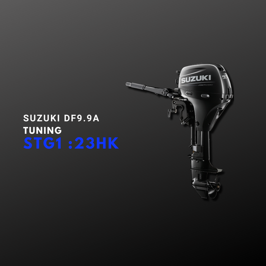Suzuki DF9.9B Tuning