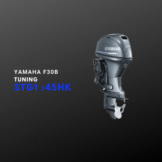 Yamaha F30B Tuning